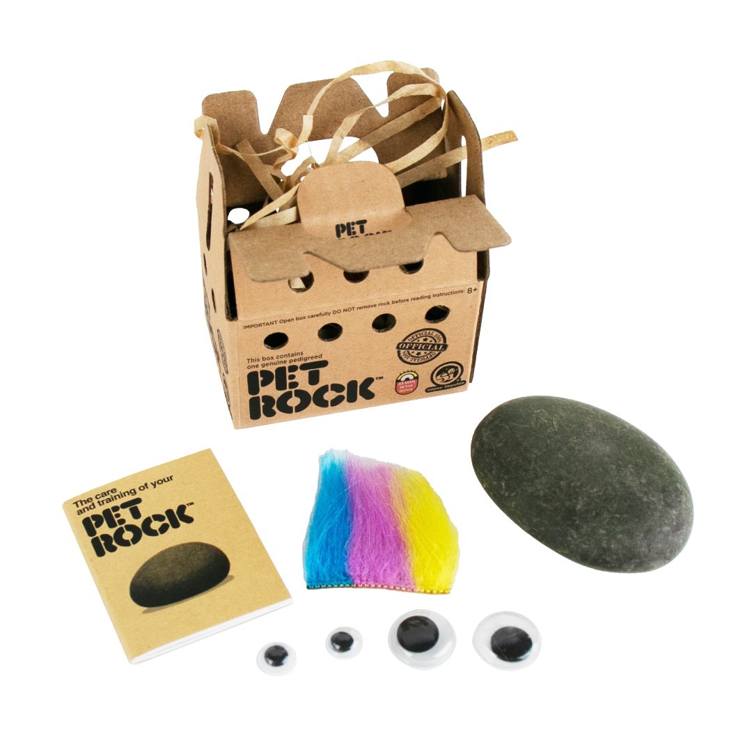 The opened packaging of a World's Smallest Original Pet Rock with googly eyes and colorful hair 