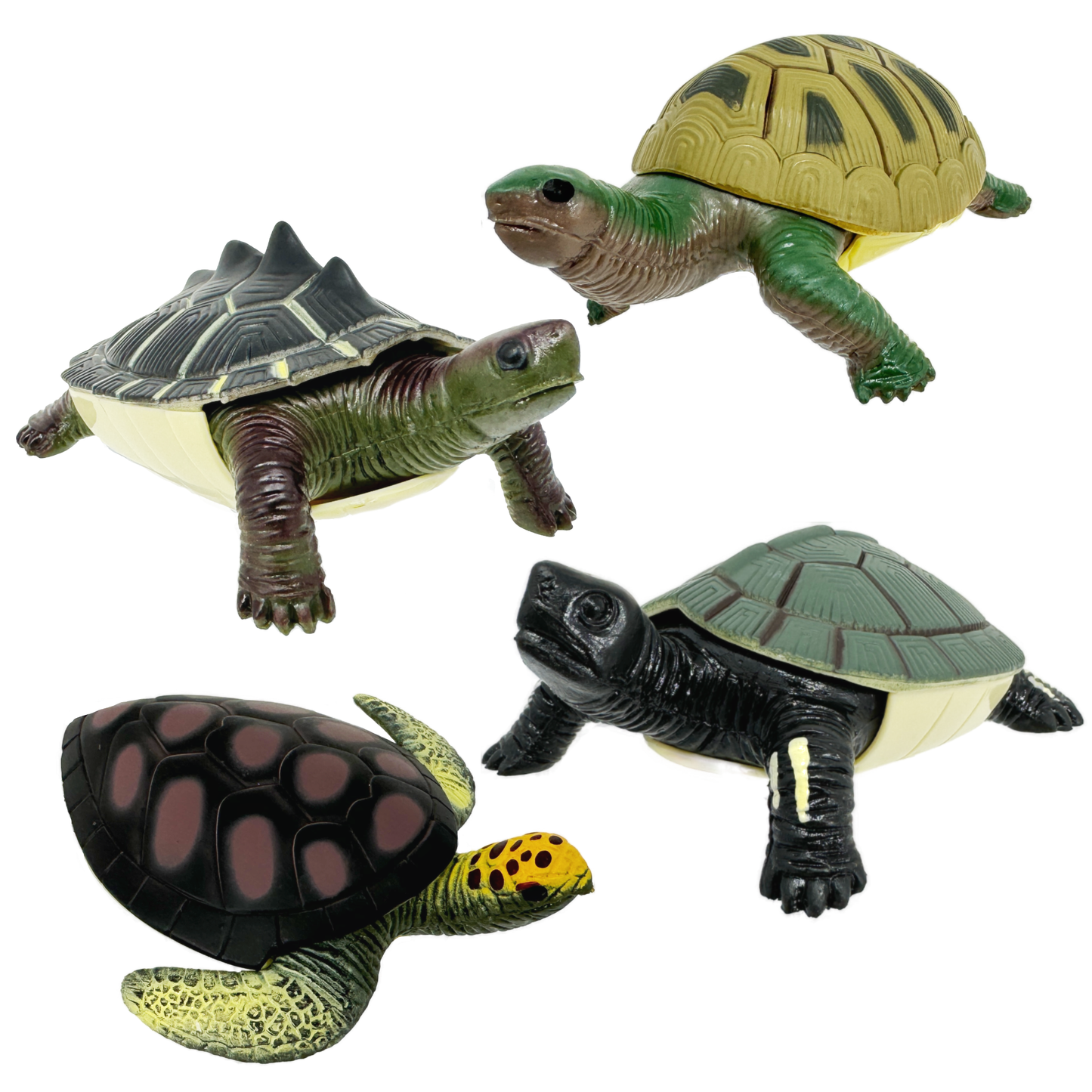 Turtle Squishimals by Toysmith