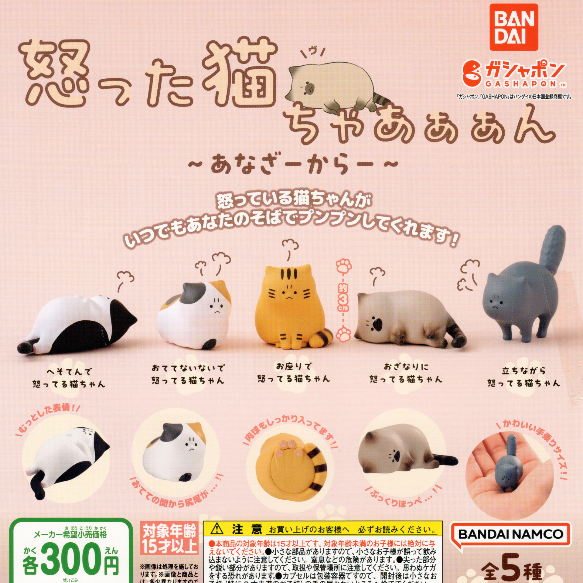 Angry Cat Figurines Series 2 – Tinywich