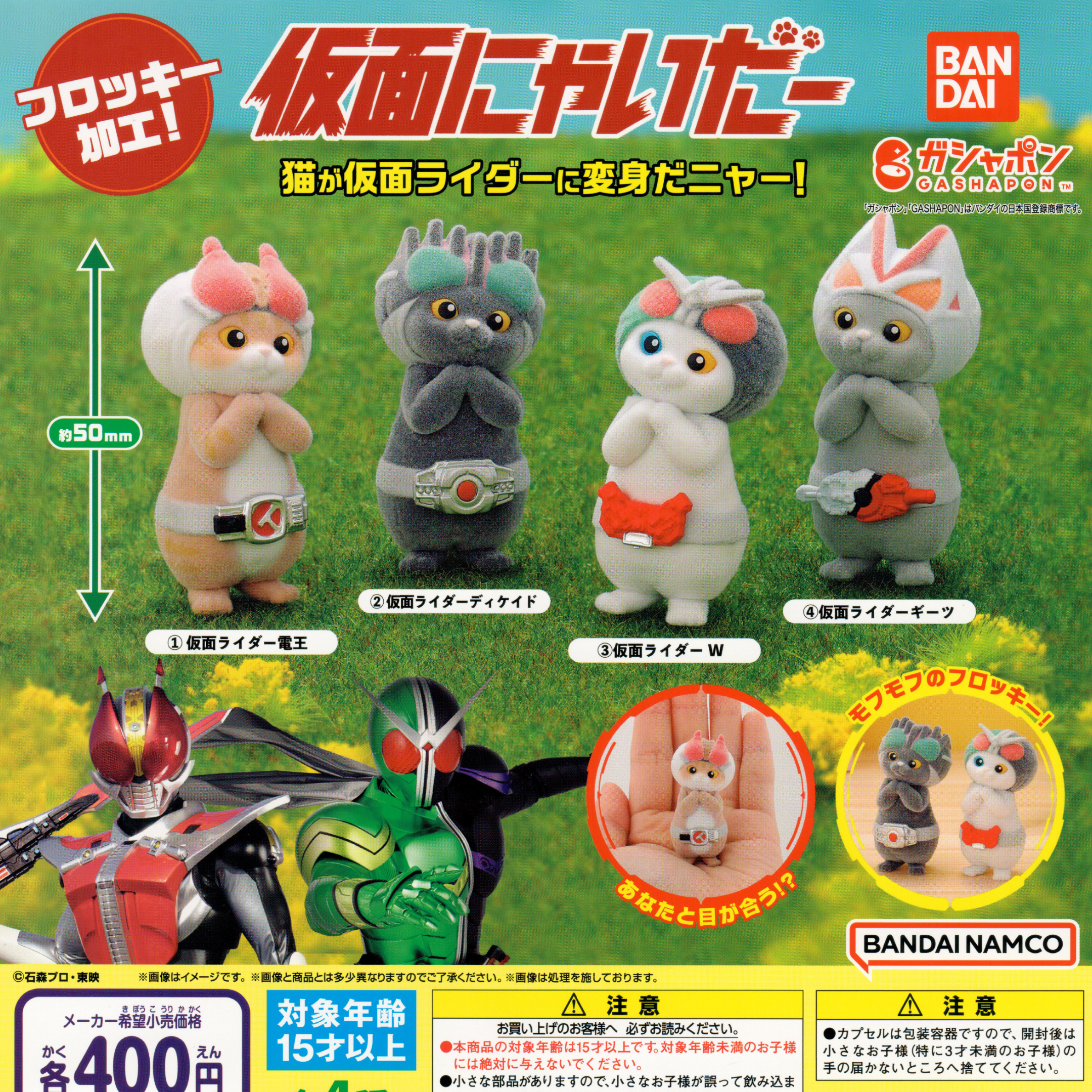 Masked Cat Kamen Rider Superhero Battle Cats – Tinywich