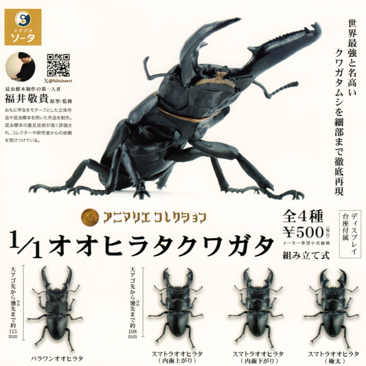 Giant Flat Stag Beetle Toy