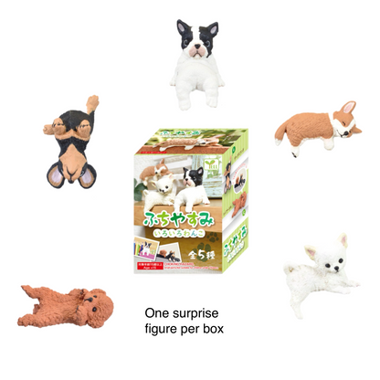 Collection of dog-themed toys with a blind box labeled 'One surprise figure per box' on a white background.