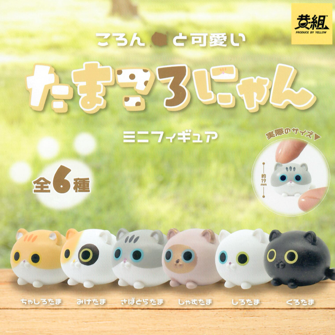 Six small cat-shaped mini figurines lined up on a wooden surface against a soft green grassy background. The figurines are in different colors: orange, white with black eyes, gray, pink, white, and black.