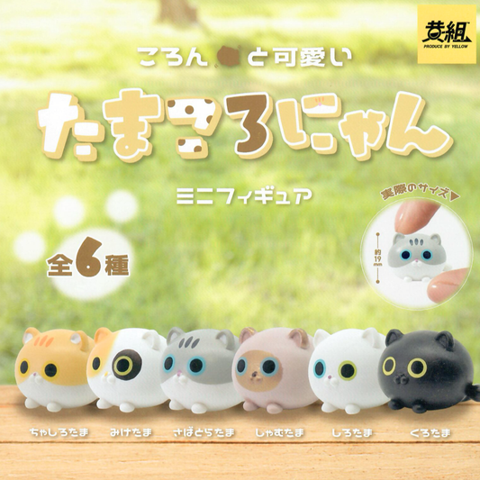 Six small cat-shaped mini figurines lined up on a wooden surface against a soft green grassy background. The figurines are in different colors: orange, white with black eyes, gray, pink, white, and black.