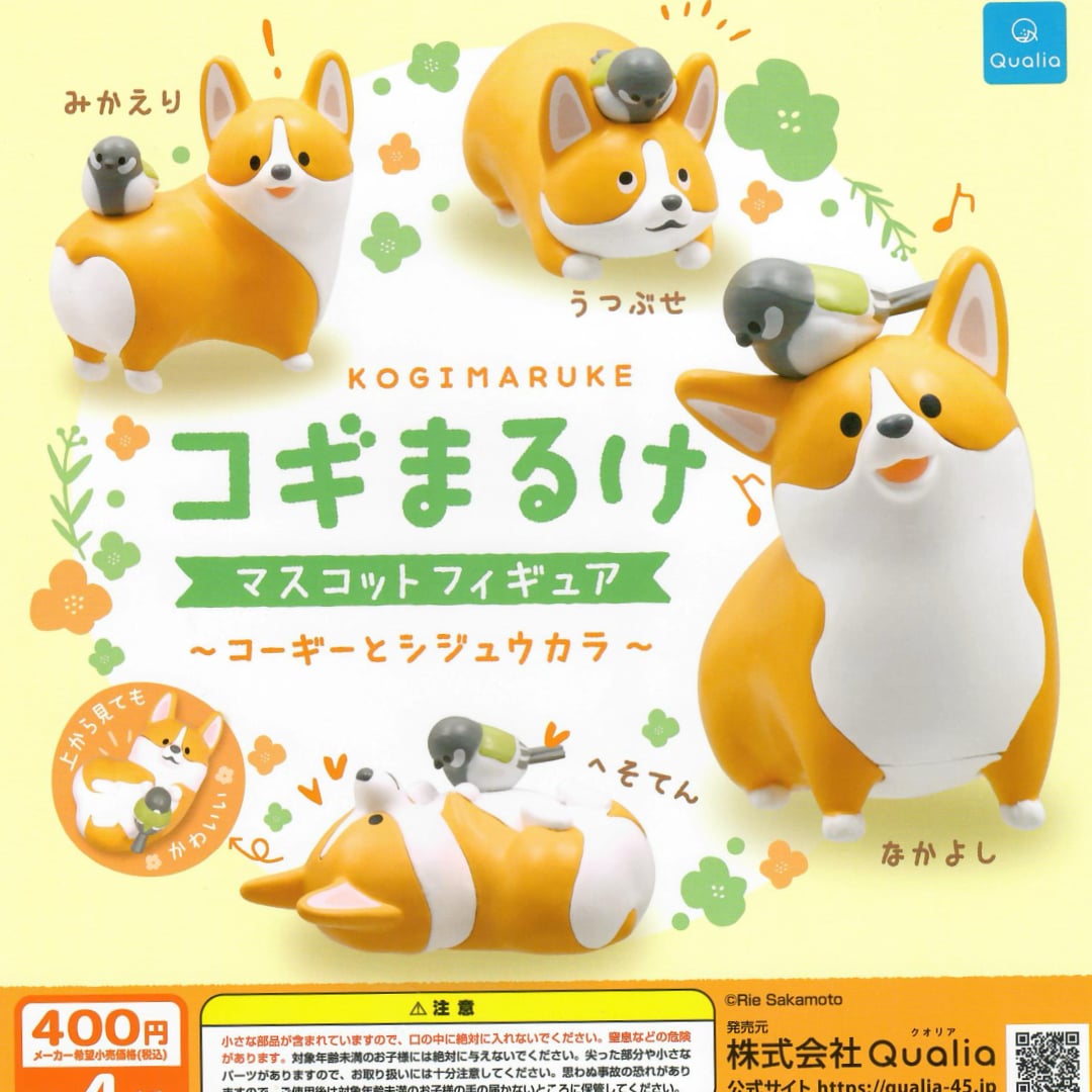 Japanese gacahpon product packaging for a Kogimaruke corgi figurine set, showing multiple designs of a yellow and white corgi with a small gray bird on its back, on a pale yellow background with decorative floral graphics.